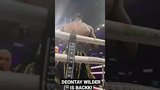 Deontay Wilder Gets a Spectacular Knockout on his Return to the Ring ‼️