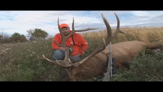 Saskatchewan Elk Hunt, 300+,  BIG GAME FILMS