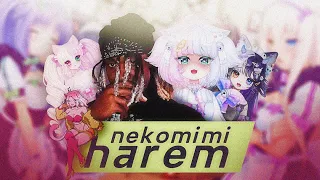 LOUVERTURE - NEKOMIMI HAREM ft. @LittleNii @Miwovt @MizzPeachy & Catfeine | Cat Girl Rap