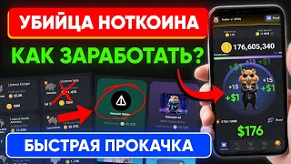 УБИЙЦА НОТКОИН - Как заработать в Hamster Kombat? 🐹 | Когда листинг $HMSTR | Прокачка хомяка