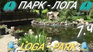 7.ч. / ПАРК - ЛОГА / 🦚 Loga - Park / РОССИЯ 🇷🇺. 2021.Г.