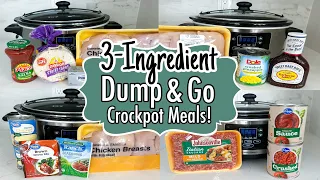 6 DUMP & GO CROCKPOT DINNERS | The EASIEST 3-Ingredient Slow Cooker Recipes! | Julia Pacheco