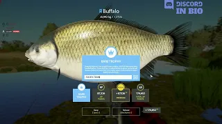 Looking for Black Buffalo - Akhtuba River spot, Rare Trophy Buffalo - #23 - Russian Fishing 4 / RF4