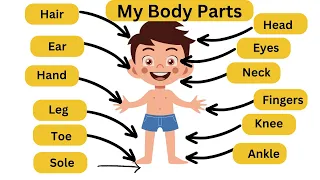 Parts of Body | Human Body Parts Name | Name of Body Parts in English with Pictures | #bodyparts
