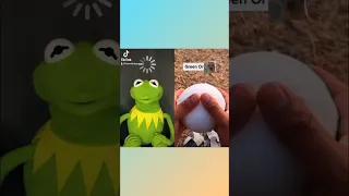 Kermit The Frog Guesses The Color TIKTOK !!