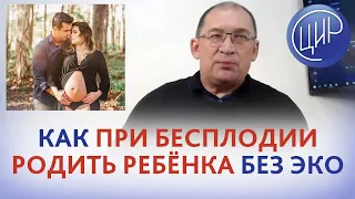 Без ЭКО. Как при бесплодии зачать, выносить и родить ребёнка без ЭКО. Ответы на вопросы. Гузов И.И.