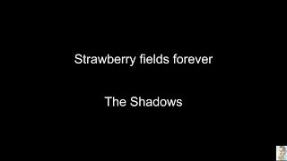 Strawberry fields forever (The Shadows)