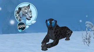 Reaching lvl 2000 in Snow Leopard Family Sim Online (No hacks)