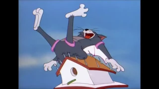 Tom and Jerry and The Flying Cat HD