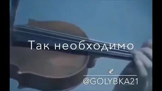 GOLYBKA_21 — Я жизнь свою теперь не тороплю...🌹 (стих)