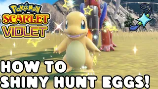 How to Hatch SHINY Pokemon FAST in Pokemon Scarlet and Violet
