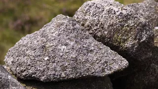 Down Memory Lane in the Mournes