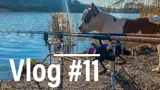 Carp Vlog #11 - První vycházka v roce 2022