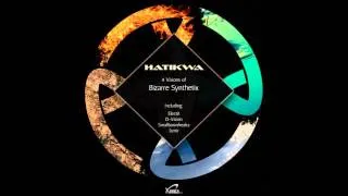 Hatikwa - Bizarre Synthetix (D-Vision Remix)