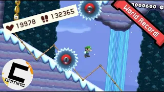 Super Mario Maker 2 - The Frozen Backwards Only Cave by Ceave [WR]