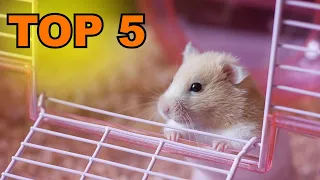 cage à rongeurs hamsters : TOP 5 des cages à rongeurs à acheter en 2023