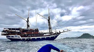 SAILING SEA SAFARI VII 7 CRUISE SHIP REVIEW @ LABUAN BAJO NTT NUSA TENGGARA TIMUR INDONESIA
