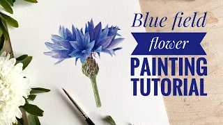 Blue flower painting with watercolors | Cornflower painting | Detailed painting