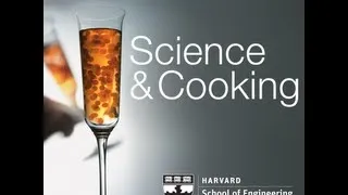 The Science of Good Cooking | Lecture 10 (2012)