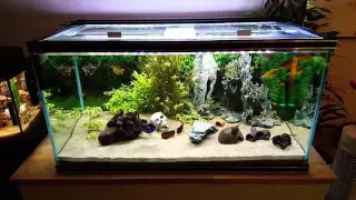 Mina akvarium