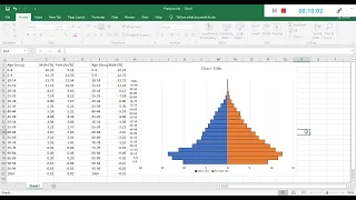 How to make a Population Pyramid in Excel