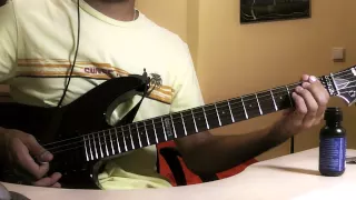 Nirvana - In Bloom (Guitar Cover) HD/HQ