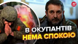 😏🔥 ГАЙДАЙ: До Кремінної завітало "бавовнятко"