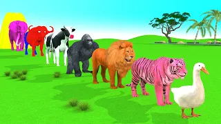 Paint & Animals Duck, Cow, Gorilla, Lion, Tiger, Elephant, Fountain Crossing Turtle Cartoon Game