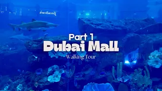 DUBAI MALL PT 1 | Walking Tour | Rogie ST