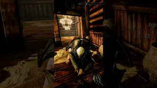 Секрет кузнеца в Рифтене || Skyrim SE Reflyem                  #reflyem #skyrim #gaming #tesv #rfab