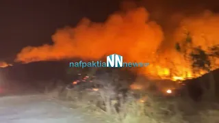 Ναυπακτία-Τώρα: Νέα μεγάλη πυρκαγιά στο Γαλατά στο ανάχωμα