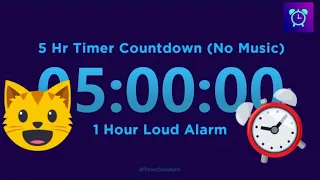5 Hour Timer Countdown (No Music) + 1 Hour Loud Alarm