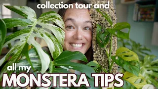 Monstera care tips and a tour of my collection | Plant with Roos