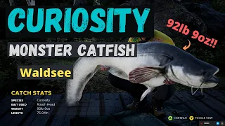"Curiosity" the 92lb Catfish in Waldsee - Fishing Sim World Pro Tour 2020