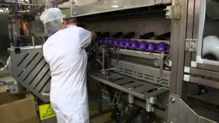 Velg Et Yrke - Industriell Matproduksjon på Tine