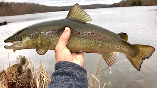 Fishing for Landlocked Atlantic Salmon and Trout in New Jersey!