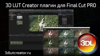 Плагин 3D LUT Creator для Final Cut PRO