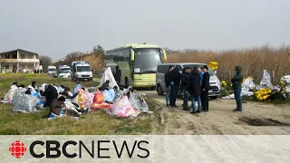 Dozens killed after boat carrying migrants breaks apart on Italian coast