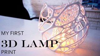 My First 3D Printed Lamp With My New  3D Printer (CRAFTBOT PLUS)