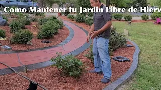 como mantener tu jardin libre de hierva les enseño paso por paso