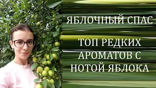 РЕДКИЕ АРОМАТЫ С ЯБЛОКОМ | Dolce Canto Cigno Nero | Zoologist Macaque Fuji | Apple Tabac Pineward