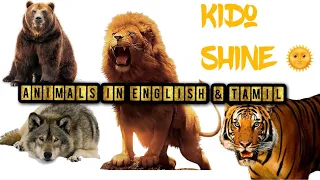 Learn Animals name in both English and Tamil || Animals song || Educational video for children