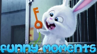 The Secret Life Of Pets Funny Moments