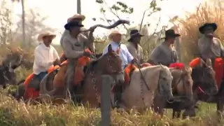 Boiada no Estradão - Reportagem Globo Rural, Sobre a Tradição das Comitivas do MS