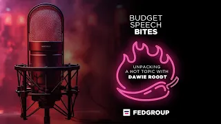 Fedgroup Budget Speech Bites Podcast | Unpacking a hot topic with Dawie Roodt