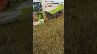 Уборка рапса Claas Lexion 760. Урожай 2021.