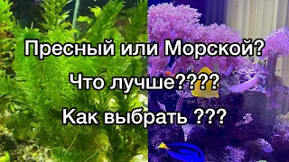 Аквариум | Морской Аквариум | Травник | Аквариумистика | Аквариум своими руками | Аквариум 400 л.