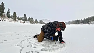 Trout Fishing in FREEZING Temperatures & SOLO Truck Camping!!!