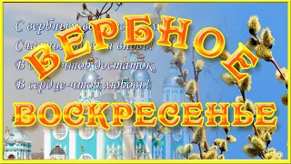 С Вербным воскресеньем💐поздравления в Вербное воскресенье видео открытка Вербное воскресенье 🌷🌷