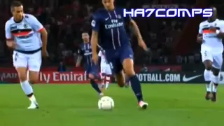 Zlatan Ibrahimović | Goals, Skills & Passes - 2012-13- | HD